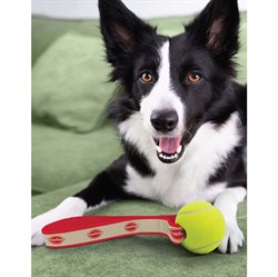Image of Tennis Ball Dog Toy